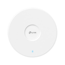 Ceiling Mount Access Point